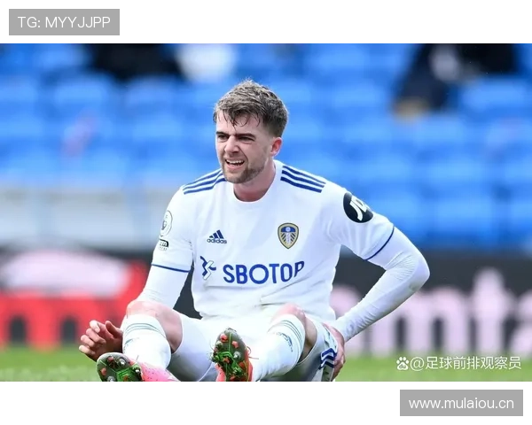 利兹联未来发展战略聚焦青训系统与球队重建，展现持续提升潜力