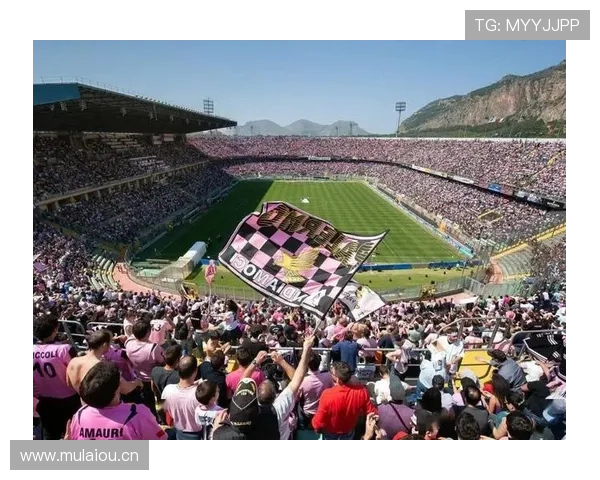 欧洲杯夜场氛围火热 观赛热度持续提升