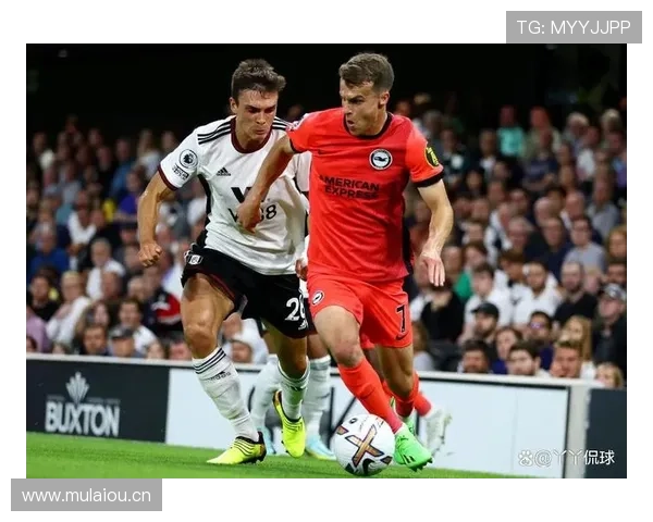 布莱顿新球场启用，英超新赛季表现值得关注