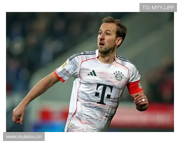 哈里·凯恩从终结者到组织核心的进攻参与度解析