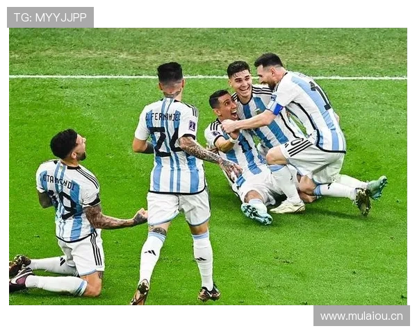 恩佐世界杯关键作用解析：如何成为阿根廷中场核心拼图